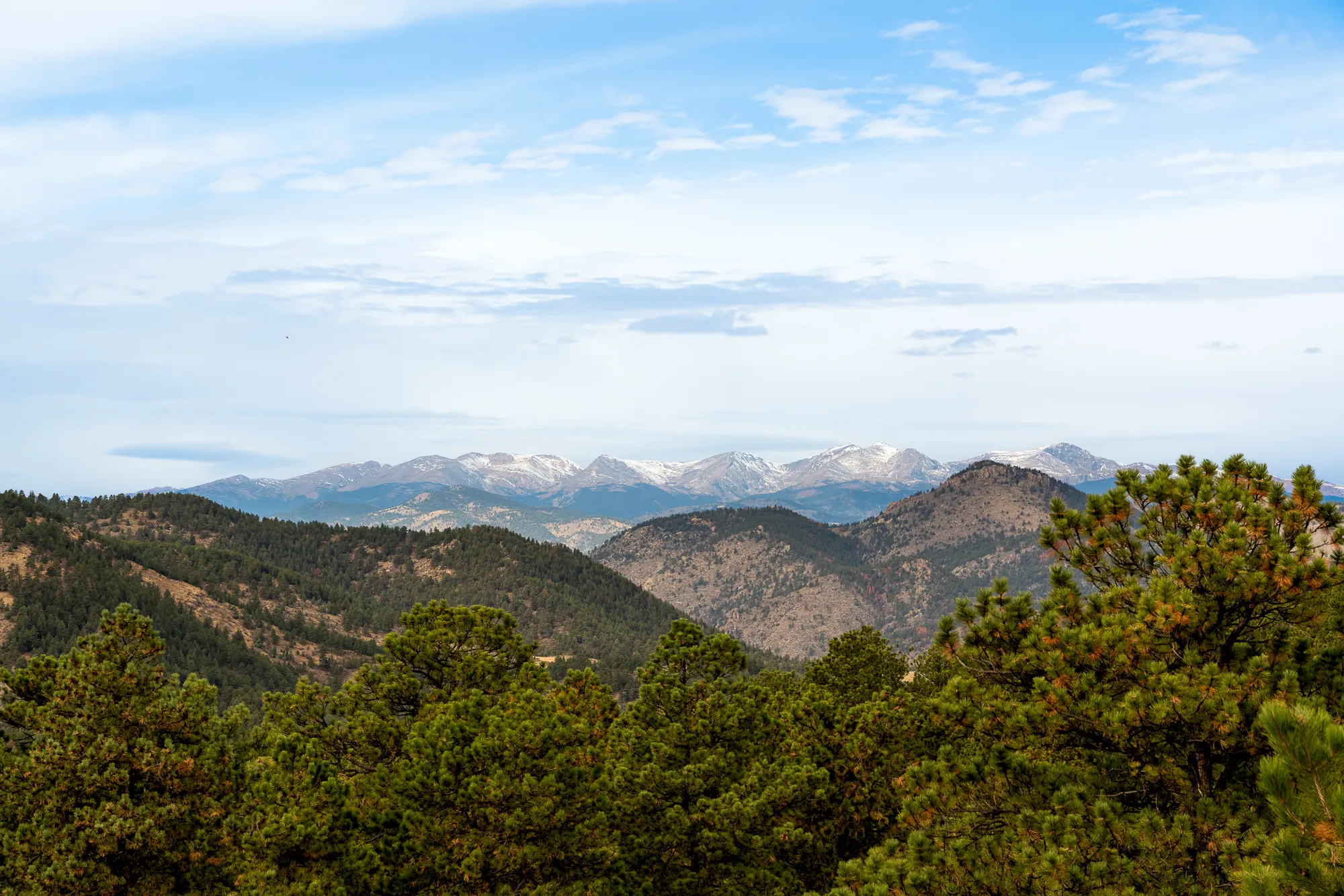 View west across forested ridges to the snow-capped Continental Divide
